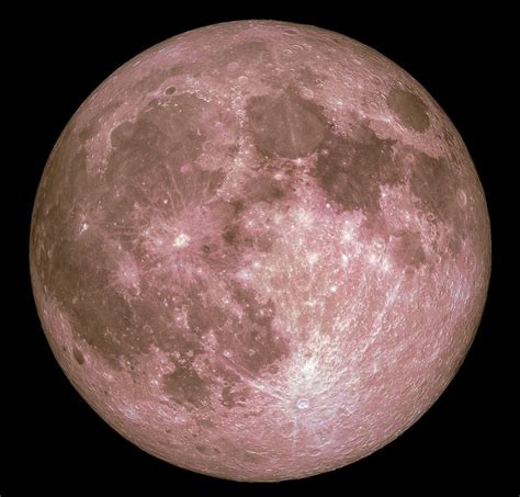 pink moon in 2022 | Pink moon, Celestial bodies, Moon