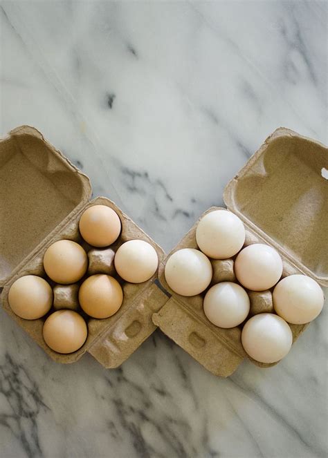 Duck Eggs vs Chicken Eggs | Duck eggs, Chicken eggs, Eggs