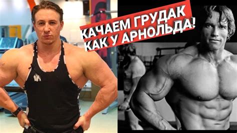 КАЧАЕМ ГРУДАК КАК У АРНОЛЬДА! ТРЕНИРОВКА НА ГИПЕРТРОФИЮ ГРУДНЫХ МЫШЦ ...