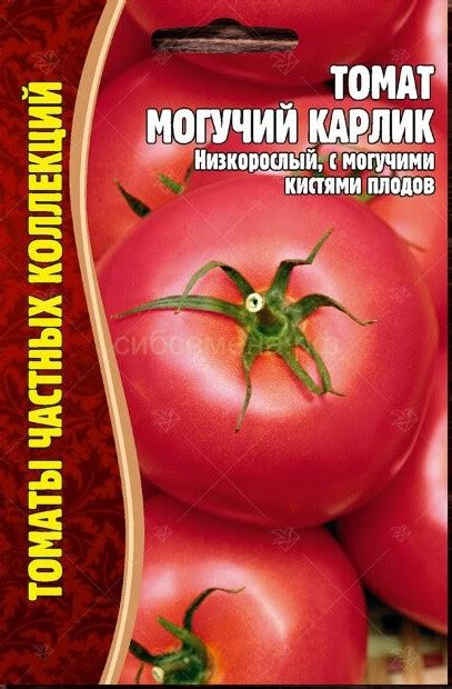 ТОМАТЫ — Семена для Сибири