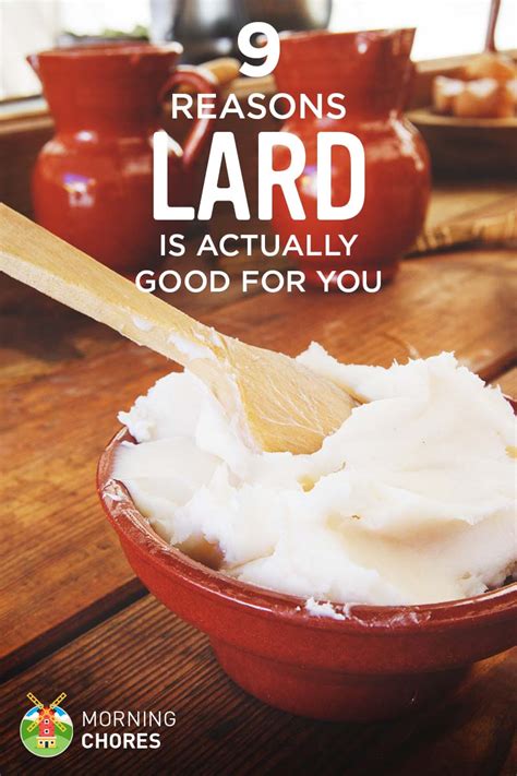 9 Reasons Why Lard is Actually Good for You