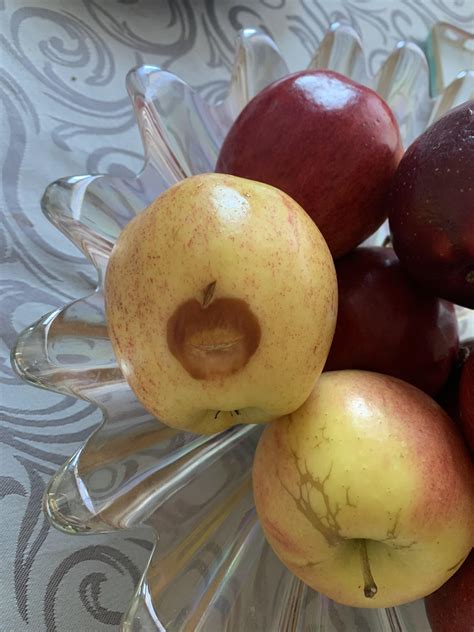 apple   apple shaped bruise rmildlyinteresting