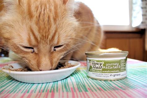 Fancy Feast Gourmet Naturals | Fancy, Feast, Gourmet
