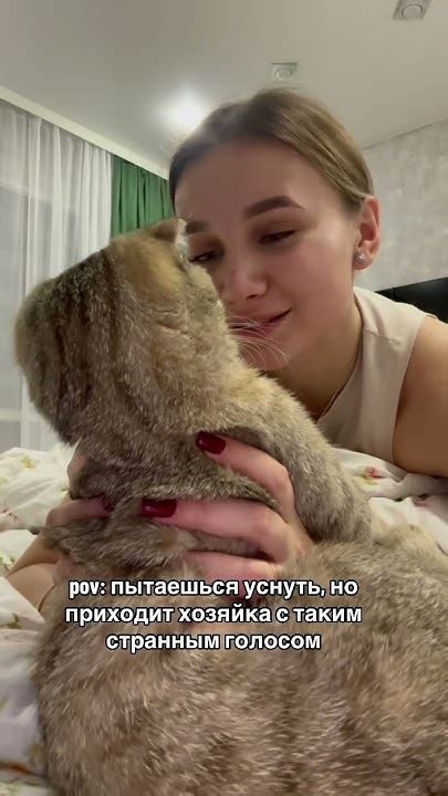 Сладкий🥹😋 #коты #приколы #кот #кошка - YouTube