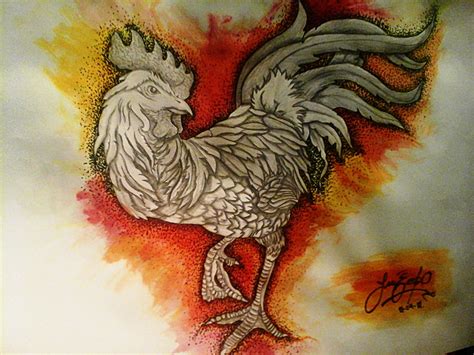 gallo behance