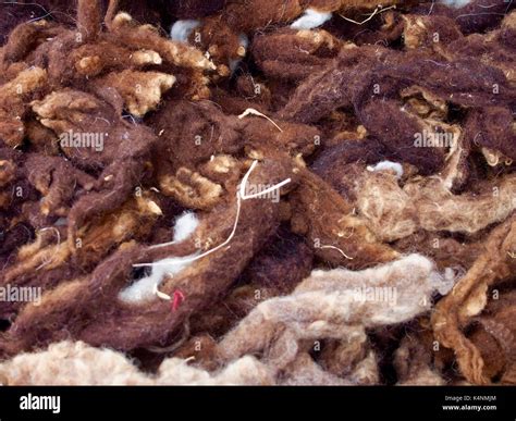 brown wool  res stock photography  images alamy