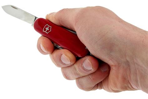 Victorinox Tourist, red | Advantageously shopping at Knivesandtools.com