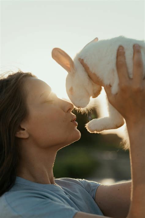 White Rabbit Photos, Download The BEST Free White Rabbit Stock Photos ...