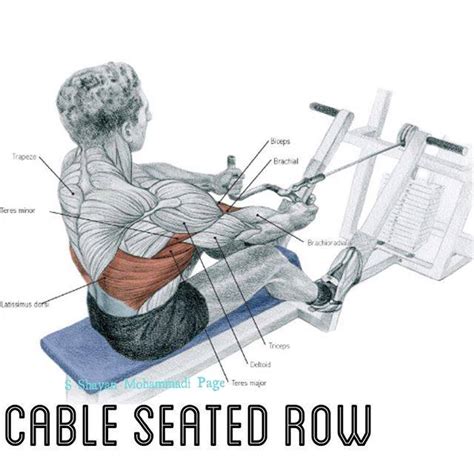 cable seated row