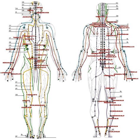 ayr chiropractic  complementary health centre