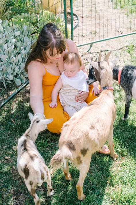 Twins 1st Birthday Bash - Krista Mason Photography