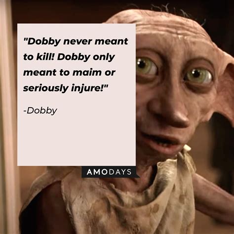 38 Dobby Quotes to Remind Us of Our Forever-Treasured Free Elf from ...