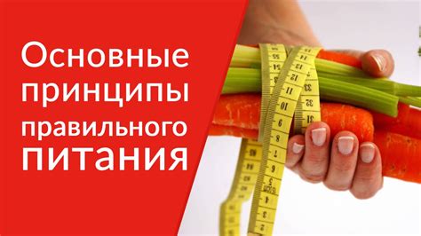 ОСНОВЫ ПРАВИЛЬНОГО ПИТАНИЯ - Blog