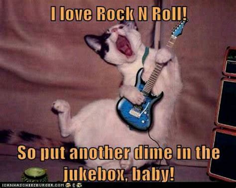 31 Funny Memes Random Pics Thatll Rock Your World Funny Cat Memes Images