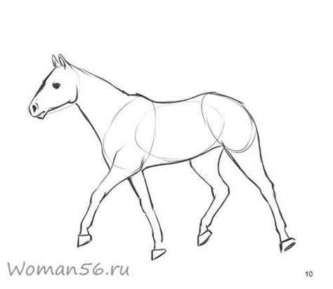 Поэтапно рисовать коня