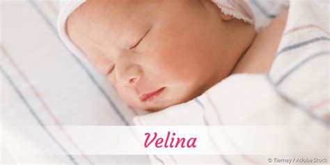 Velina » Name mit Bedeutung, Herkunft, Beliebtheit & mehr