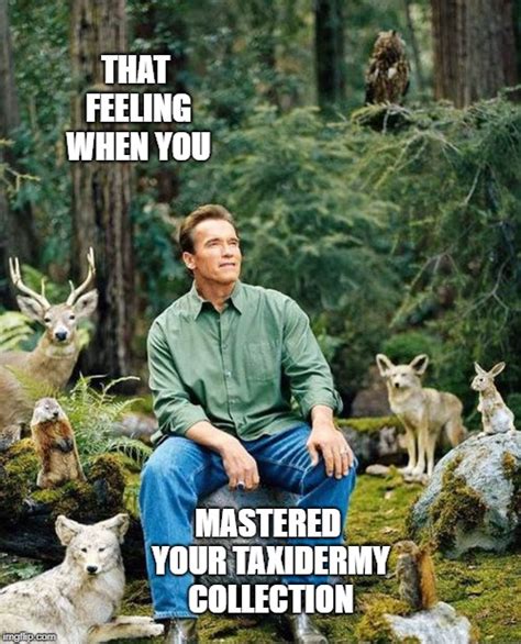 arnold schwarzenegger Memes & GIFs - Imgflip