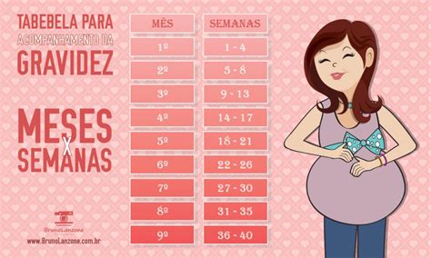Quanto É 7 Semanas De Gravidez - Tabela De Semanas Gravidez - ZULEDU