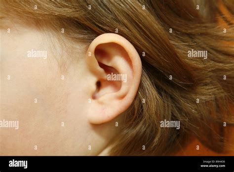 girl  ear stock photo alamy