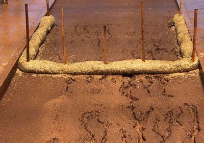 biod watl rolanka international