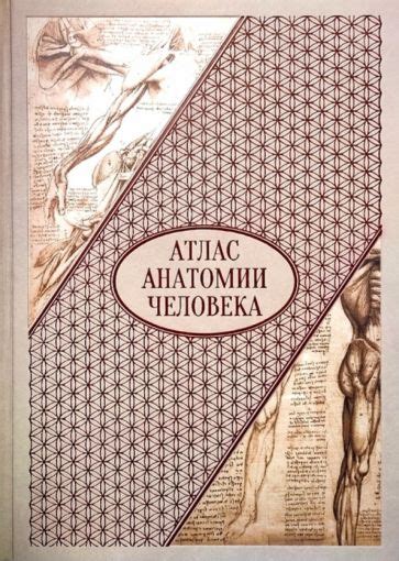 Книга: "Атлас анатомии человека. Все органы человеческого тела". Купить ...