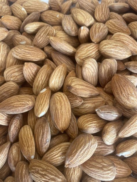 Shop — Almond Girl