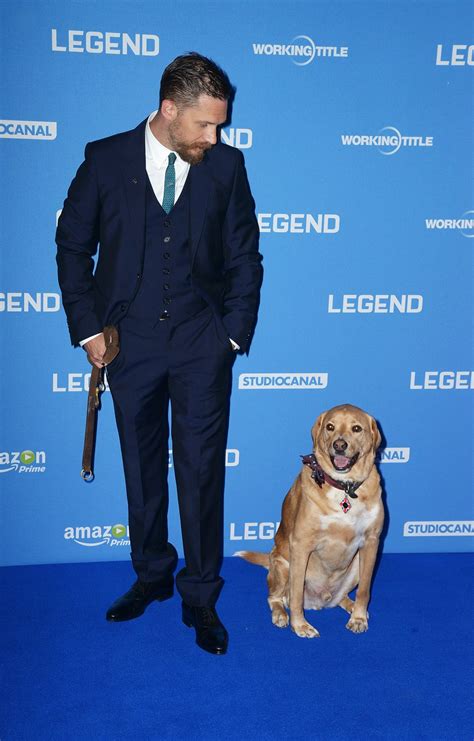 20 of the Most Photographed Celebrity Pets - Newsweek