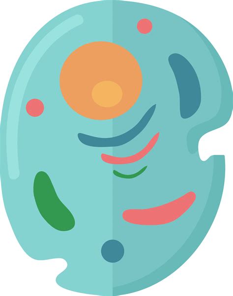 Cell Clipart. Free Download Transparent .PNG or Vector Clipart Library ...