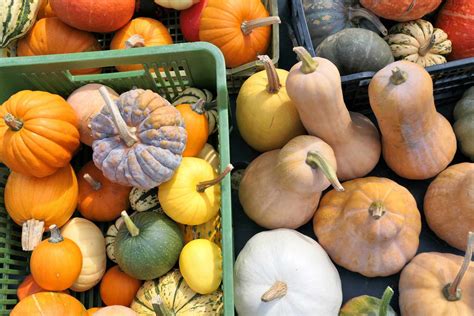 12 Types of Winter Squash — And How to Cook Them