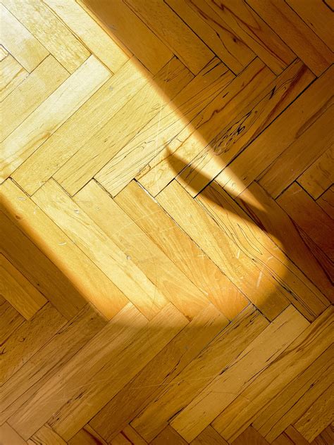 Shadow Shadows Play - Free photo on Pixabay - Pixabay