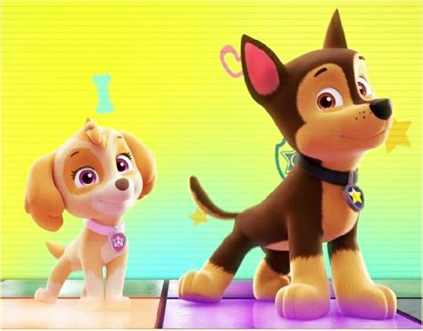 Pin by Cris Cordova on The Paw Patrol Pictures | Skye paw patrol, Paw ...