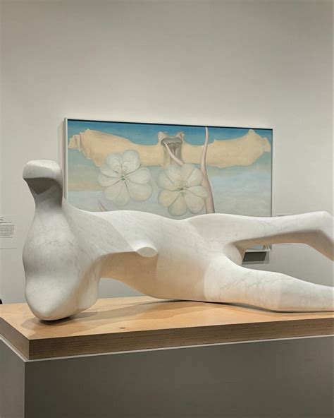 Erika Kane (@erikaannakane) • Instagram photos and videos