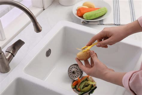 Say Goodbye to Garbage Disposal Units: How Biodigesters are Winning the