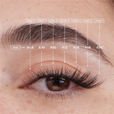 The Cat Eye Gossamer® Bundle – Lashify