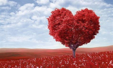 pengertian  manfaat cinta menurut  ahli ilmu pengetahuan dasar