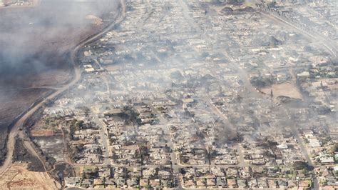 Maui Wildfires: How to Help and Donate to Victims in Hawaii - The New