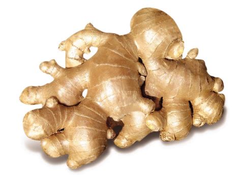 ginger asia exotic corporation limited