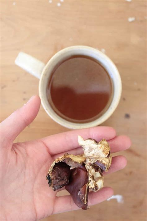 This Simple Video Tutorial Shows You How To Prepare Reishi At Home - RYZE Superfoods