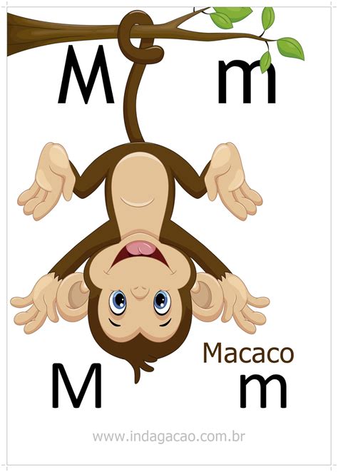 Animal Que Começa Com A Letra M - 5