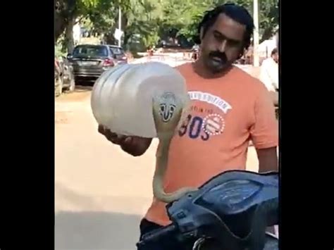 Snake emerges from scooter | Viral video: Snake emerges from scooter ...