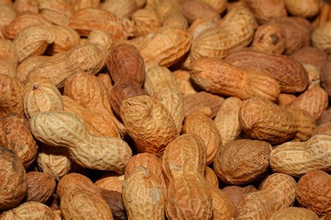 History of food: 5 interesting facts about Peanuts