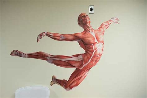 home anatomy