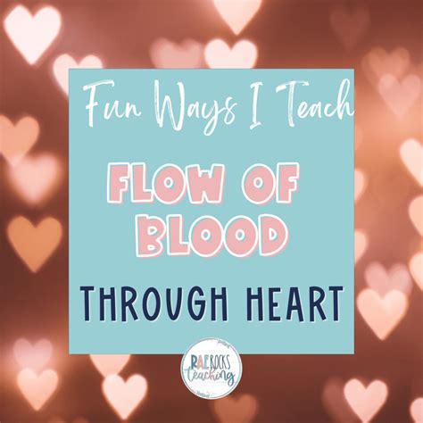 Fun Ways I Teach Flow of Blood Through Heart - Rae Rocks Teaching