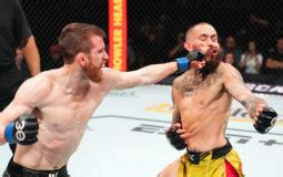 ranking ufc bantamweight division tier list maker tierlistscom