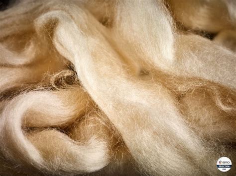 sustainability  cellulose fiber  nature   skin