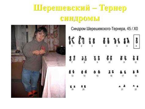 Генетикалық материал - презентация онлайн