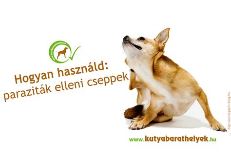 Cseppekkel a paraziták ellen - Egészség