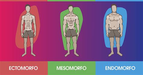 Somatotipo: cos'è e come scoprire a quale appartieni (+ test)