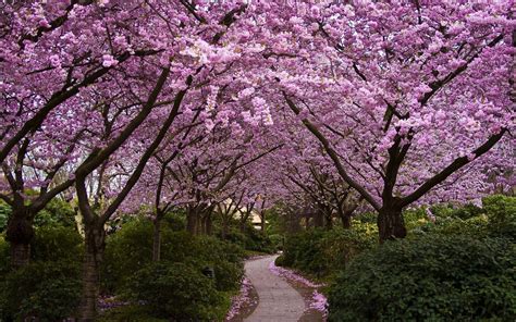 HD Spring Wallpapers For Desktop - Wallpaper Cave