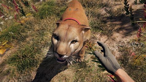 Far Cry 5 Tips - 11 things I wish I knew before playing | GamesRadar+